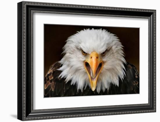 Fierce-null-Framed Art Print