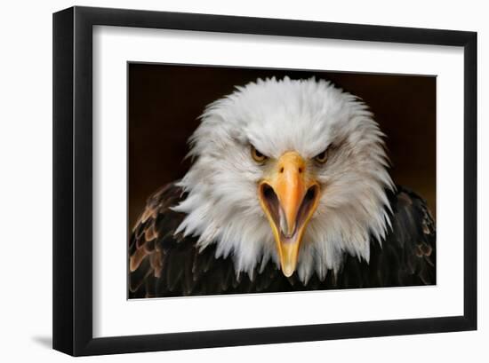 Fierce-null-Framed Art Print