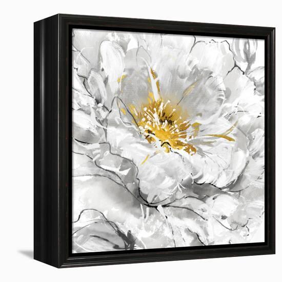 Fiery Filaments-Mark Chandon-Framed Stretched Canvas