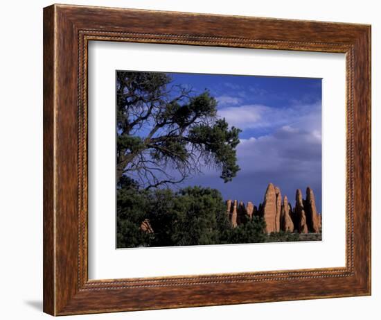 Fiery Furnace Fins, Arches National Park, Utah, USA-Jamie & Judy Wild-Framed Photographic Print