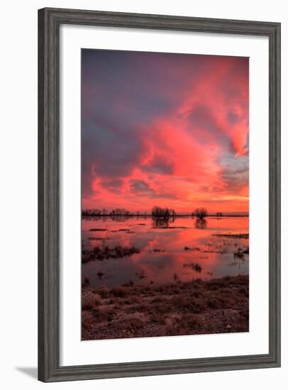 Fiery Marsh Sunset Sky-null-Framed Photographic Print