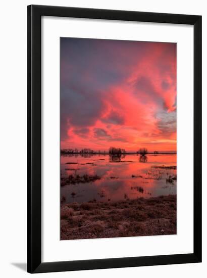 Fiery Marsh Sunset Sky-null-Framed Photographic Print