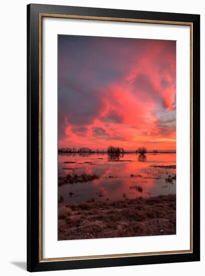 Fiery Marsh Sunset Sky-null-Framed Photographic Print