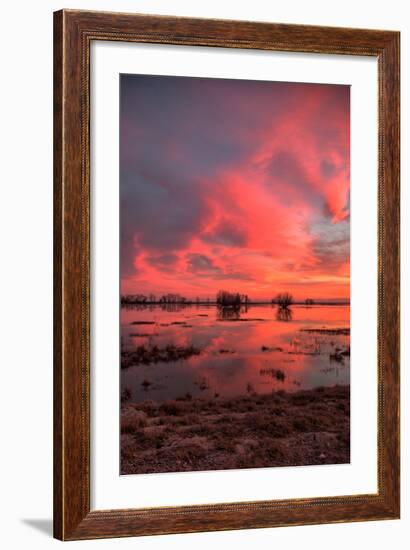 Fiery Marsh Sunset Sky-null-Framed Photographic Print