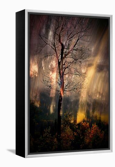 Fiery Night-Ursula Abresch-Framed Premier Image Canvas