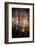 Fiery Night-Ursula Abresch-Framed Photographic Print