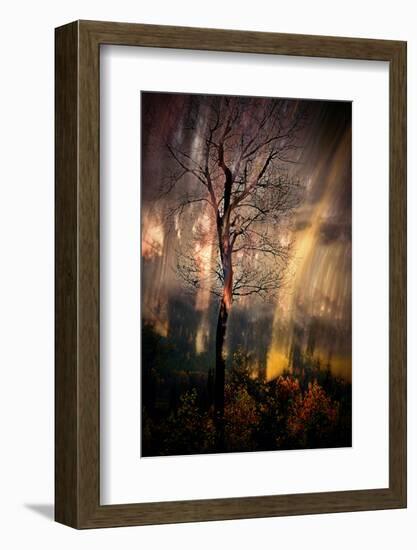 Fiery Night-Ursula Abresch-Framed Photographic Print