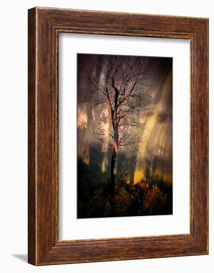 Fiery Night-Ursula Abresch-Framed Photographic Print