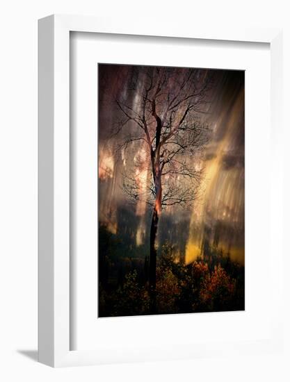 Fiery Night-Ursula Abresch-Framed Photographic Print