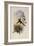 Fiery-Tailed Avocet, Avocettinus Recurvirostris-John Gould-Framed Giclee Print