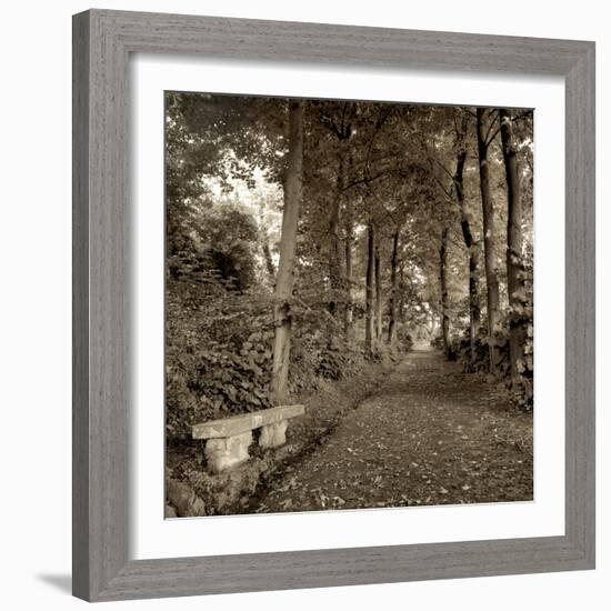 Fiesole Giardini II-Alan Blaustein-Framed Photographic Print