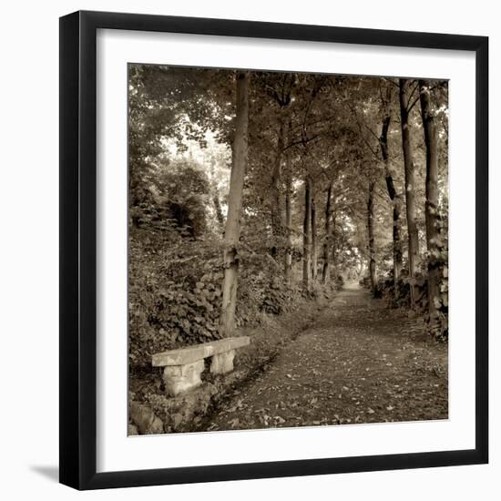 Fiesole Giardini II-Alan Blaustein-Framed Photographic Print