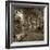 Fiesole Giardini II-Alan Blaustein-Framed Photographic Print