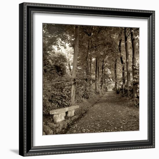 Fiesole Giardini II-Alan Blaustein-Framed Photographic Print