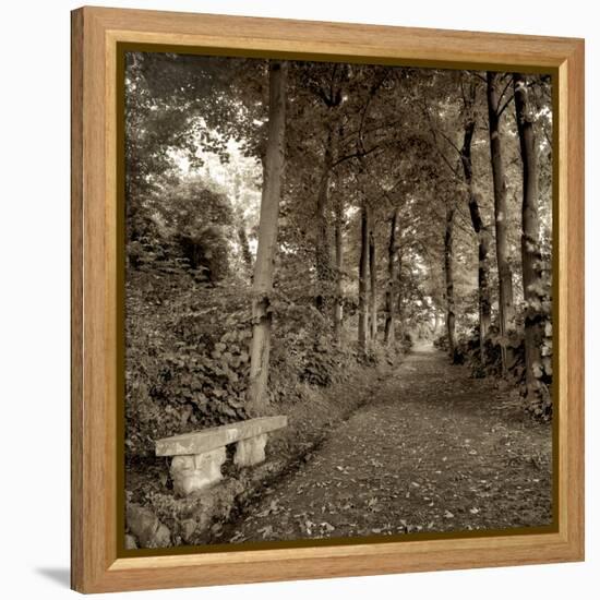 Fiesole Giardini II-Alan Blaustein-Framed Premier Image Canvas