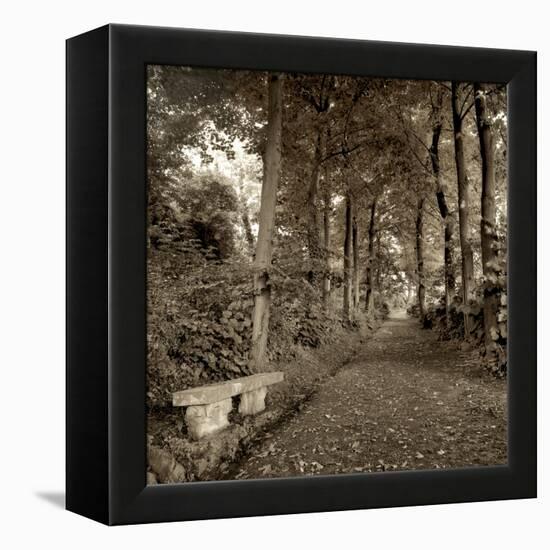 Fiesole Giardini II-Alan Blaustein-Framed Premier Image Canvas