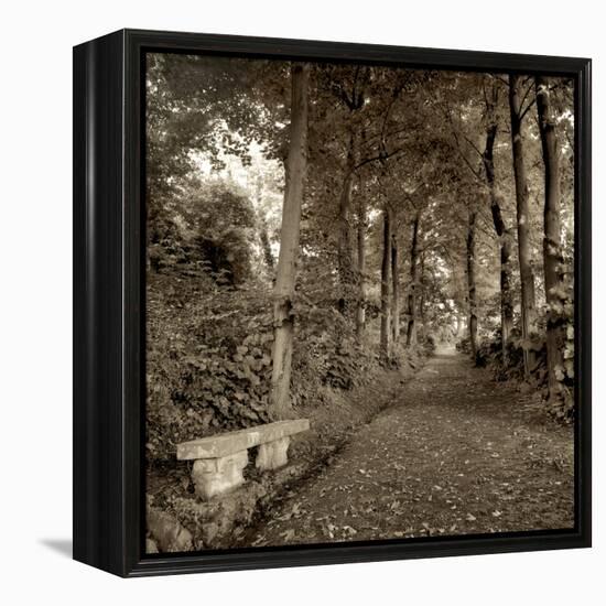 Fiesole Giardini II-Alan Blaustein-Framed Premier Image Canvas