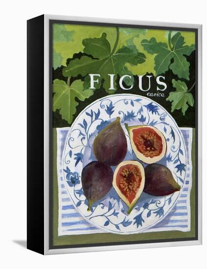 Fieus (Figs), 2014-Jennifer Abbott-Framed Premier Image Canvas