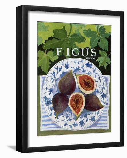 Fieus (Figs), 2014-Jennifer Abbott-Framed Giclee Print