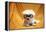 Fifi The Purebred Bichon Frise Fresh From The Doggy Day Spa Tries Out Her Halloween Costumes-mikeledray-Framed Premier Image Canvas