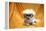 Fifi The Purebred Bichon Frise Fresh From The Doggy Day Spa Tries Out Her Halloween Costumes-mikeledray-Framed Premier Image Canvas