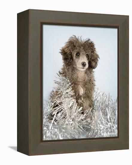 Fifi-Rachael Hale-Framed Premier Image Canvas