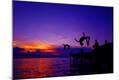 Photographic Print