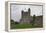 Fifteenth-Century Castle-null-Framed Premier Image Canvas