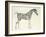 Fifth Anatomical Table, from The Anatomy of the Horse-George Stubbs-Framed Giclee Print