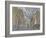 Fifth Avenue and the Met, 2010-Julian Barrow-Framed Giclee Print