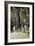 Fifth Avenue at Washington Square, New York-Childe Hassam-Framed Art Print