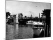 Photographic Print