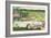 Fifties Cars on Golf Course-null-Framed Art Print