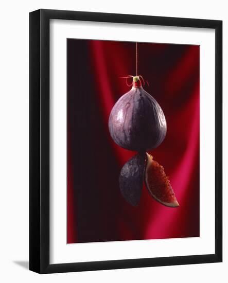 Fig on a string with segments, 2003-Norman Hollands-Framed Photographic Print