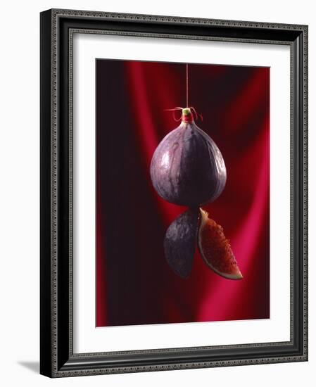 Fig on a string with segments, 2003-Norman Hollands-Framed Photographic Print