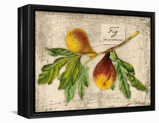 Fig-Kate Ward Thacker-Framed Premier Image Canvas