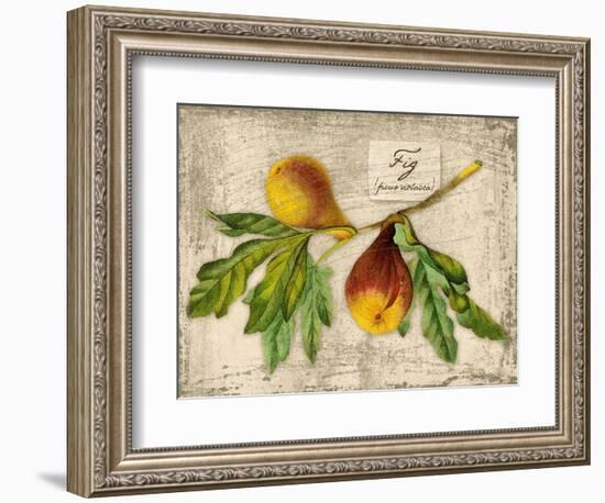 Fig-Kate Ward Thacker-Framed Giclee Print