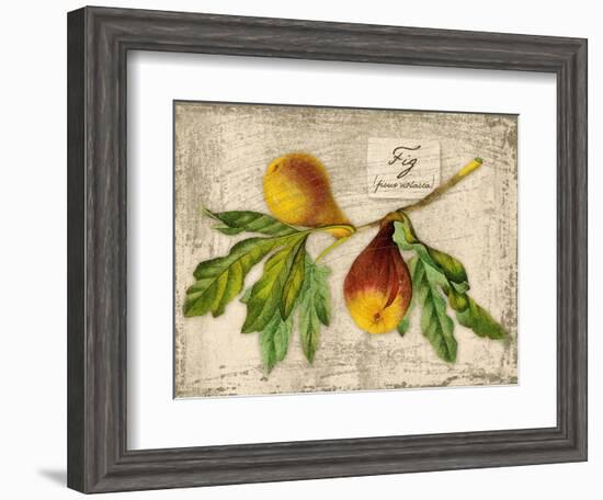 Fig-Kate Ward Thacker-Framed Giclee Print