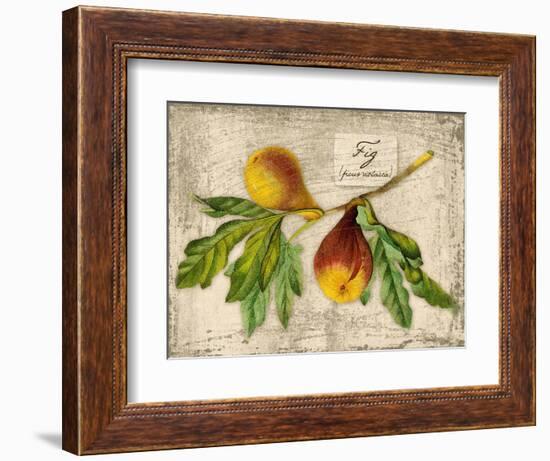 Fig-Kate Ward Thacker-Framed Giclee Print