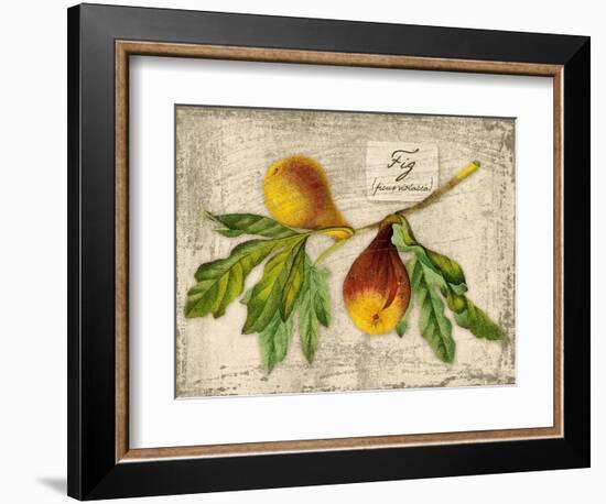 Fig-Kate Ward Thacker-Framed Giclee Print