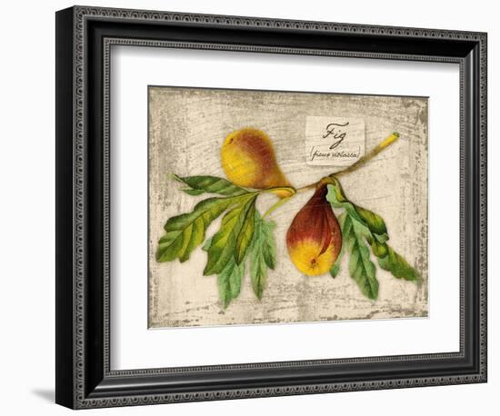 Fig-Kate Ward Thacker-Framed Giclee Print