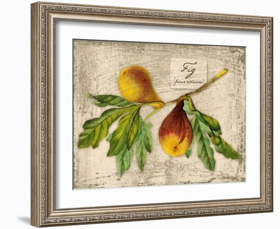 Fig-Kate Ward Thacker-Framed Giclee Print