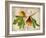 Fig-Kate Ward Thacker-Framed Giclee Print