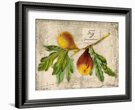 Fig-Kate Ward Thacker-Framed Giclee Print