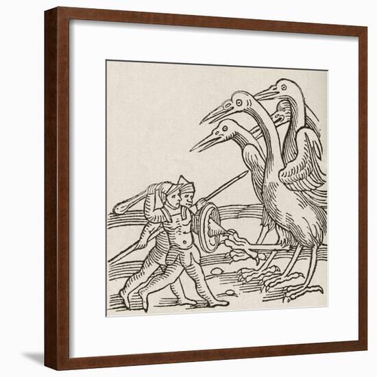 Fight Between Pygmies and Cranes. a Story from Greek Mythology-null-Framed Giclee Print