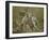 Fight of Achilles with the River Scamander-Philipp Otto Runge-Framed Giclee Print