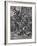 Fighting at the Barricades in Paris-null-Framed Giclee Print