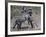 Fighting Burchell's Zebra, Serengeti, Tanzania-Dee Ann Pederson-Framed Photographic Print