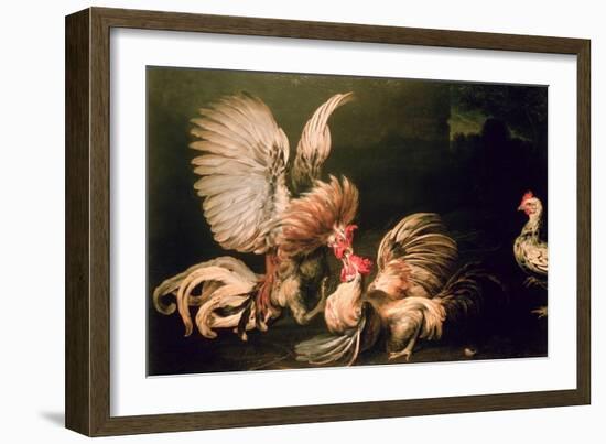 Fighting Cocks-Frans Snyders Or Snijders-Framed Giclee Print