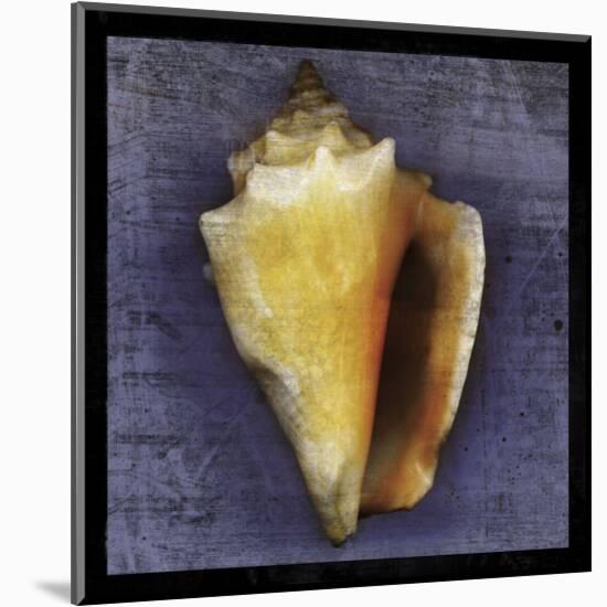 Fighting Conch-John W^ Golden-Mounted Art Print